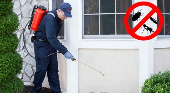 Aydın Dezenfeksiyon böcek ilaçlama ve haşere kontrolü — ilaclama-tr.com